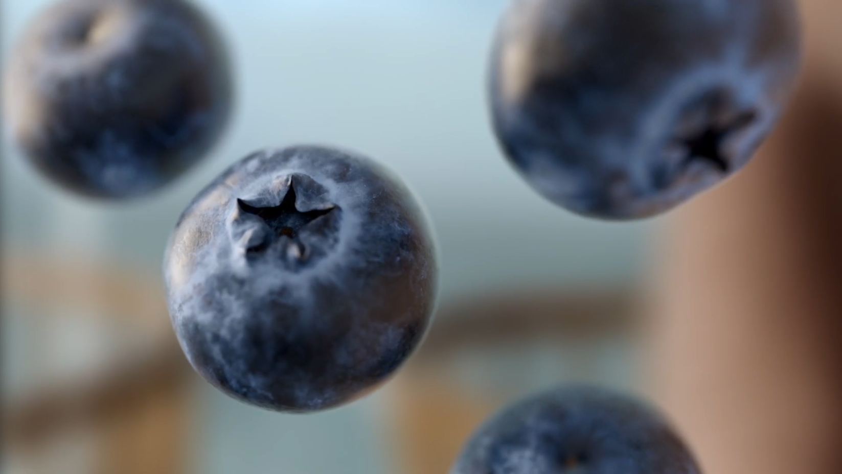 Awareness Campaign for Blueberries